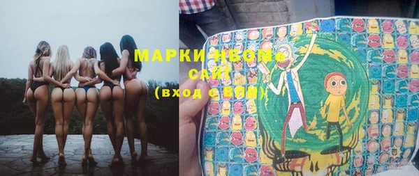 прущие грибы Алзамай